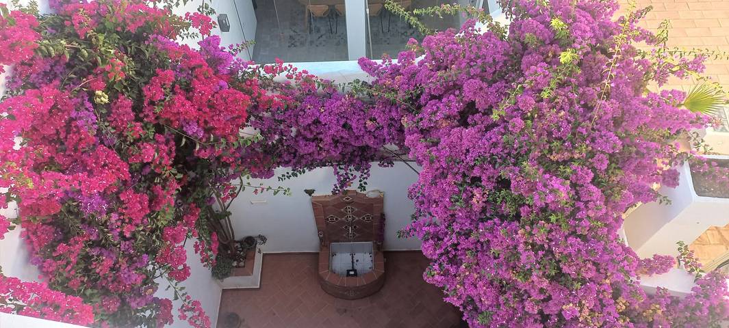 Casa de huéspedes para 4 personas, con jardín y balcón en Algarve - 3