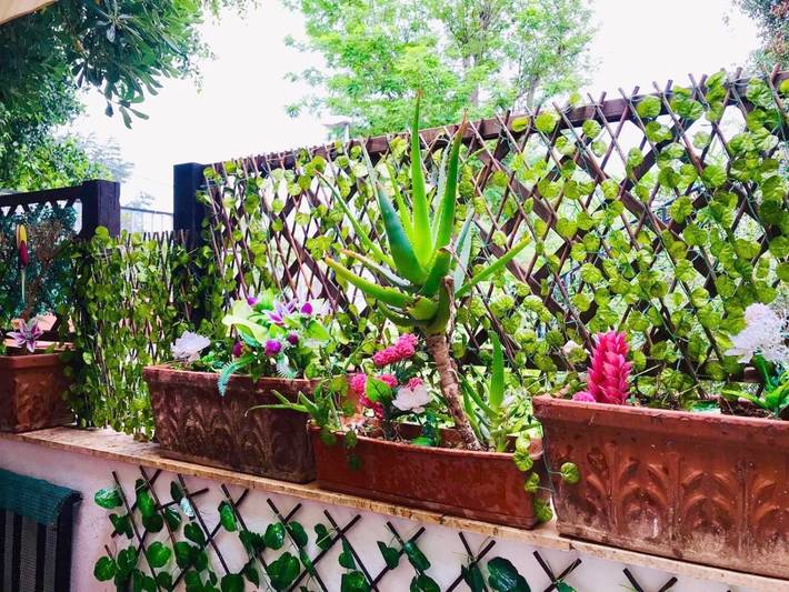 Villa für 5 Personen, mit Terrasse in Palermo - 2