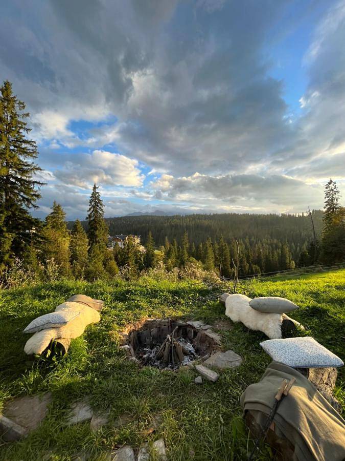 Tatra Glamp Bukowina Tatrzańska - Sieć noclegowa Tatra Glamp in Bukowina Tatrzańska, Karpaty (Polska)