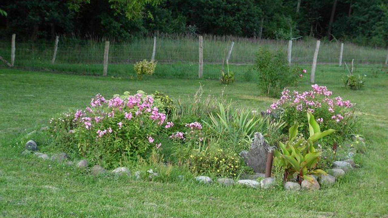 Ganze Ferienwohnung, Ferienwohnung für 4 Personen (43 m²) in Demmin in Demmin, Mecklenburgische Seenplatte