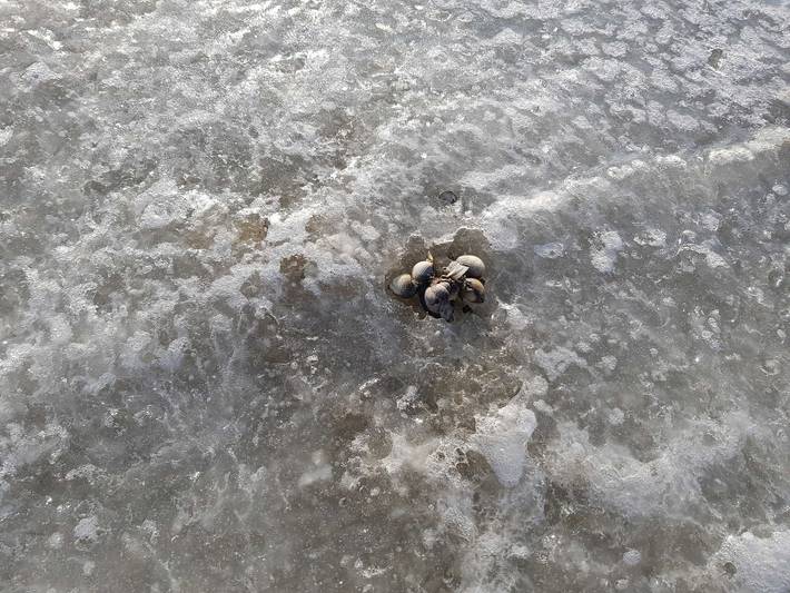 Ferienhaus für 5 Personen, mit Terrasse und Garten, kinderfreundlich in Varel