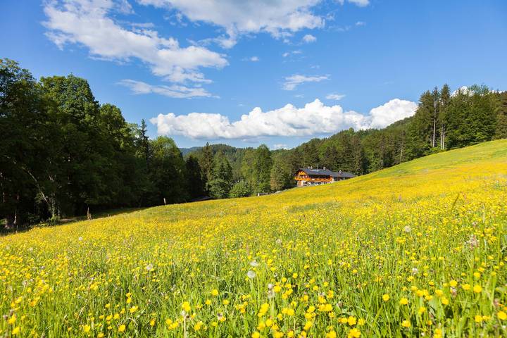 Ferienwohnung für 3 Personen, mit Balkon und Garten im Berchtesgadener Land - 2