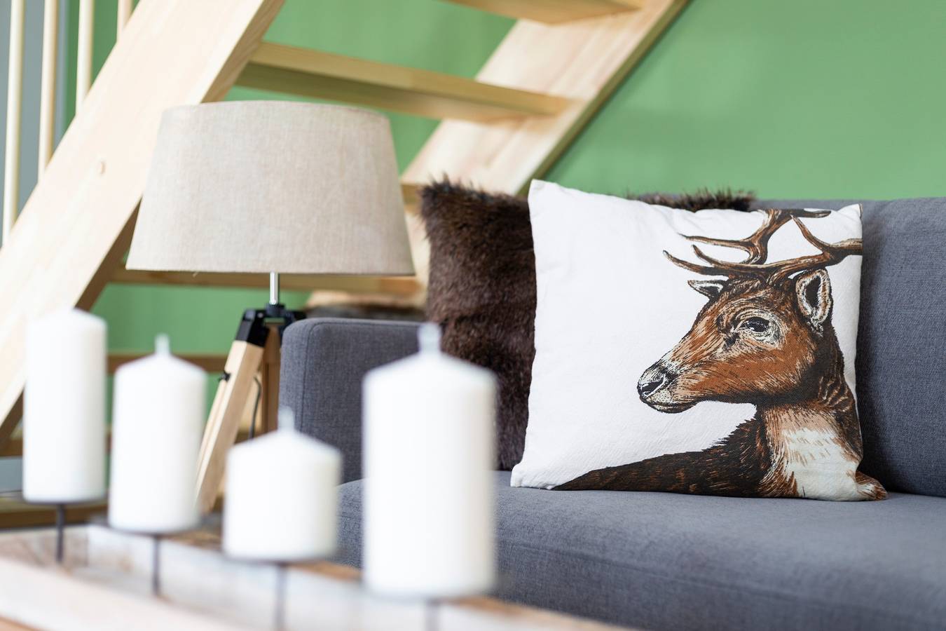 Harzhirsch in Hasselfelde, Harz (Sachsen-Anhalt)