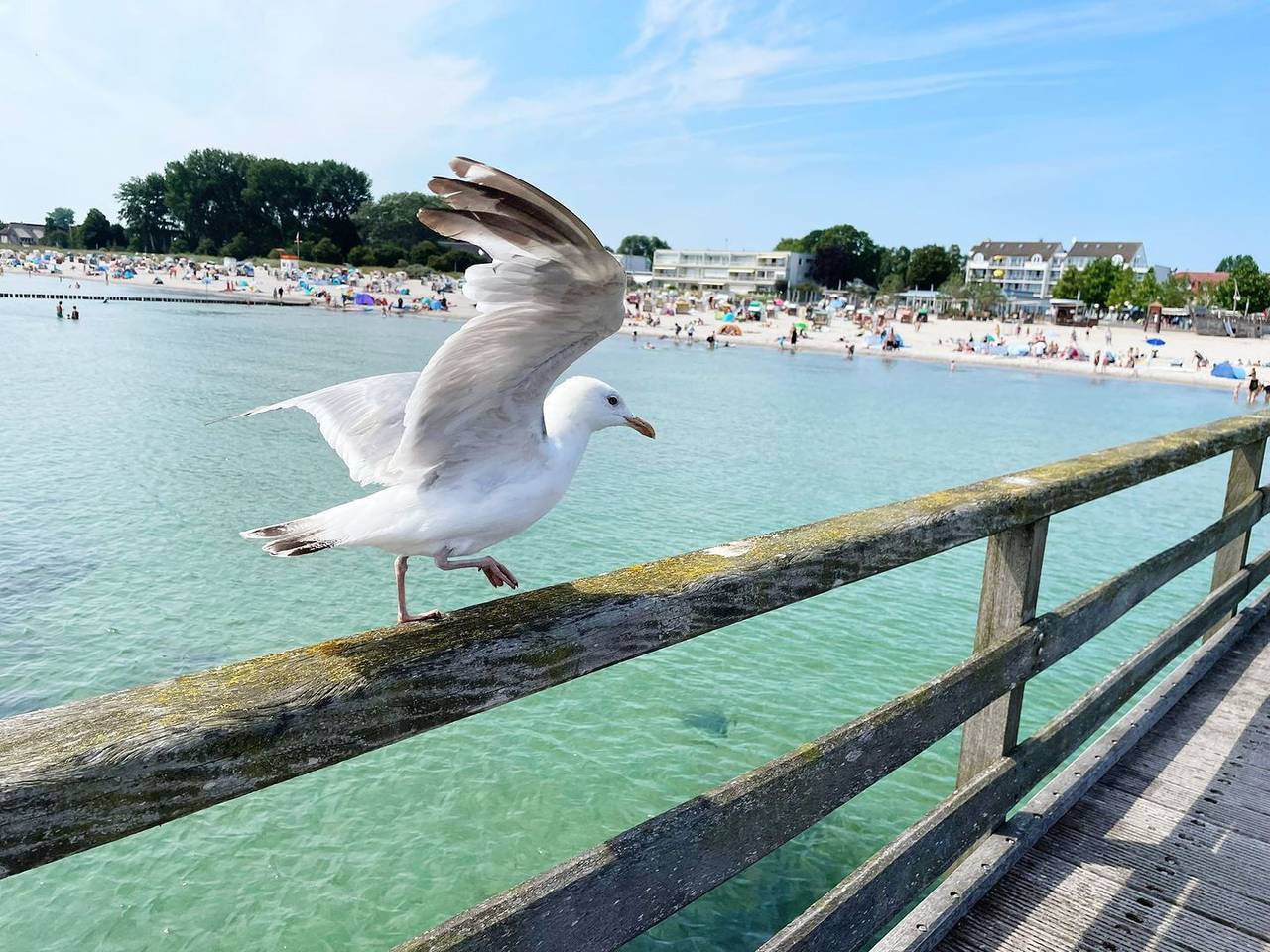 Appartamento vacanze a Grossenbrode a partire da 135€ a notte