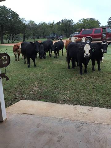 Lodge for 8 Guests in Gillespie County, Picture 4