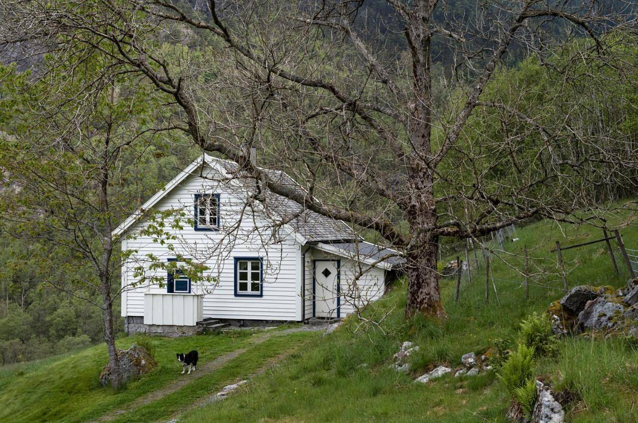Holiday Home in Hjelmeland
