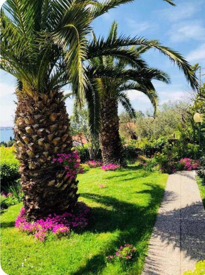 Chambre d’hôte pour 3 personnes, avec terrasse ainsi que jardin et vue à Piran - 2