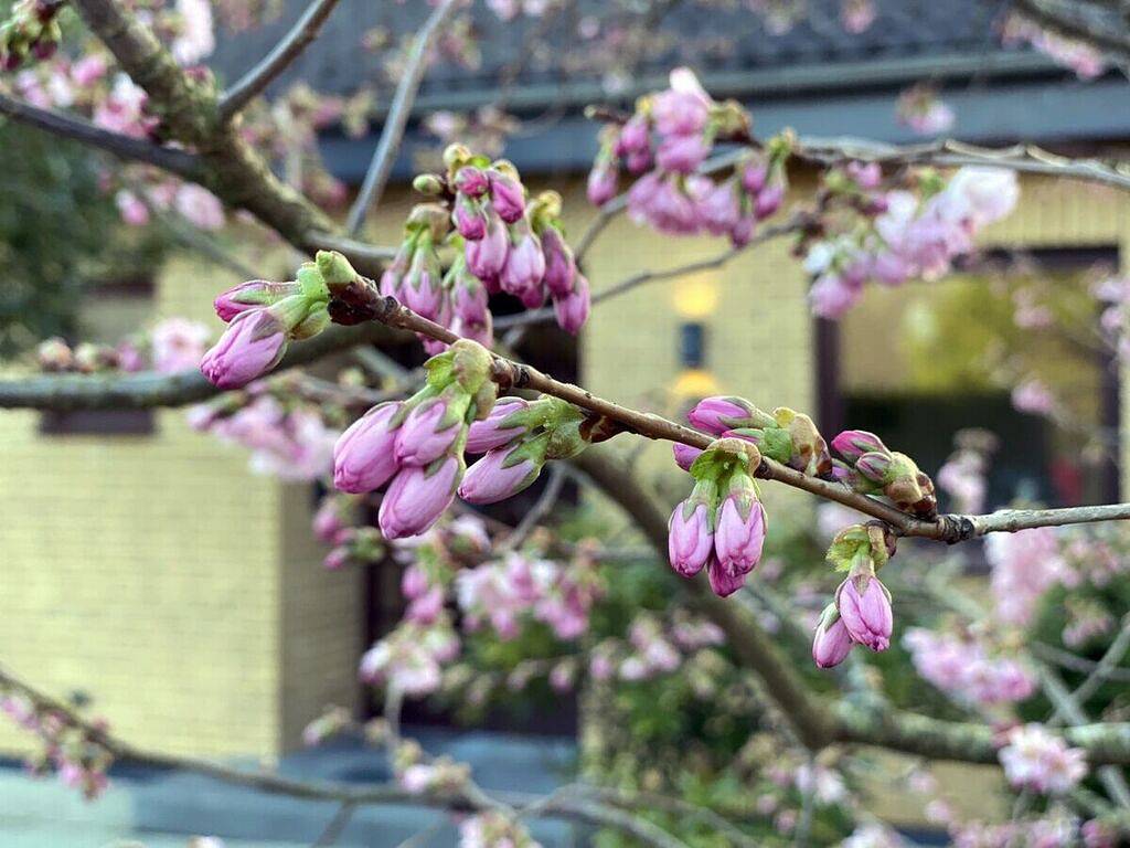 Urlaubinsicht.de Komfortable Ferienresidenz in Tönning, Halbinsel Eiderstedt