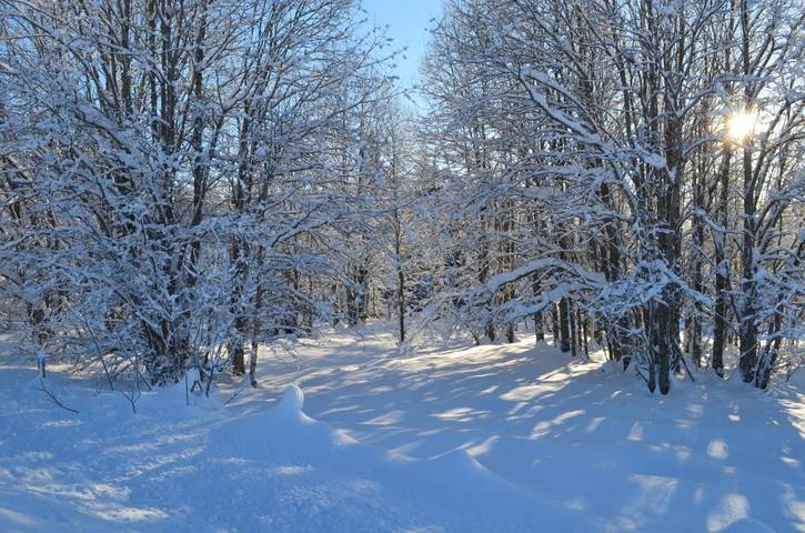 Hôtel pour 2 personnes, avec vue et jardin dans Trysil - 3