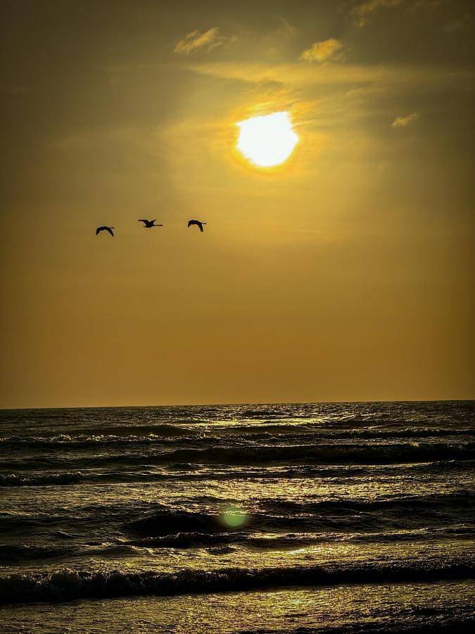 Villa für 8 Personen, mit Sauna und Whirlpool sowie Garten, mit Haustier in Schweden - 4