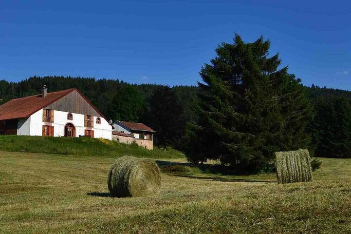 Location de vacances pour 20 personnes, avec Jacuzzi et Terrasse ainsi que Jardin et Sauna à Gerbépal