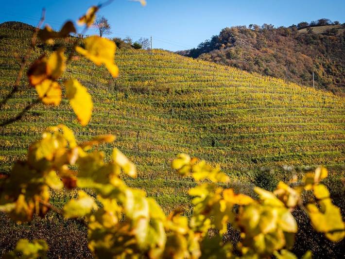 Hôtel pour 2 personnes, avec piscine et jardin, animaux acceptés à Saint-Jean-Pied-de-Port - 4