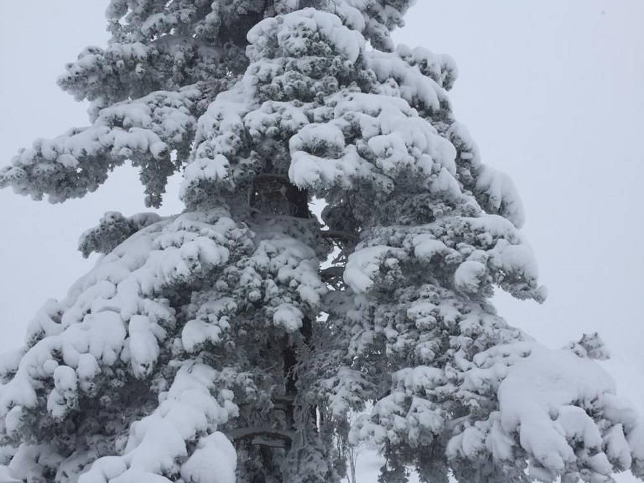 Casa rural espaciosa para 10 pers en Vagney - Sauna, juegos, cerca de Gérardmer in Vagney, Parque natural regional de los Ballons des Vosges