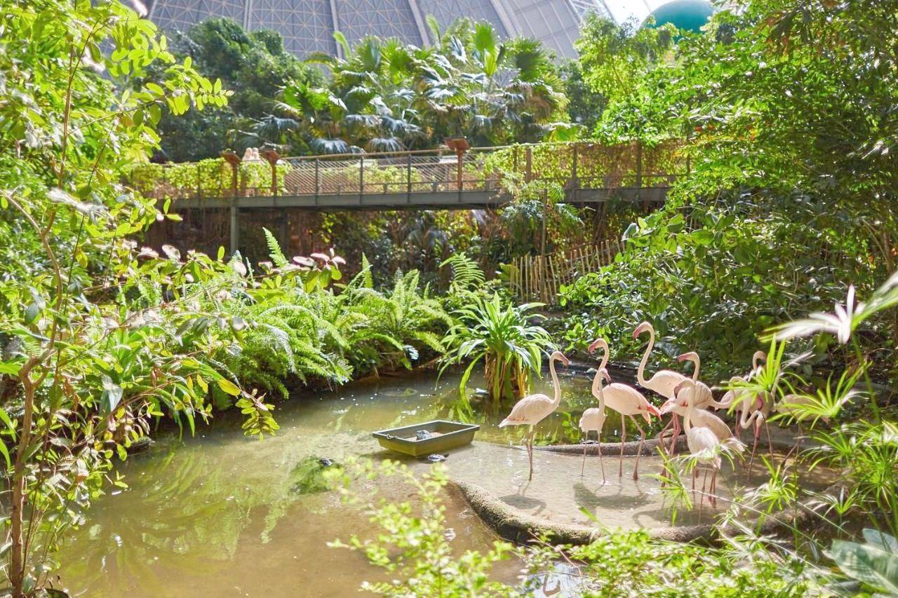 Tropical Islands in Tropical Islands (Wasserburg), Halbe