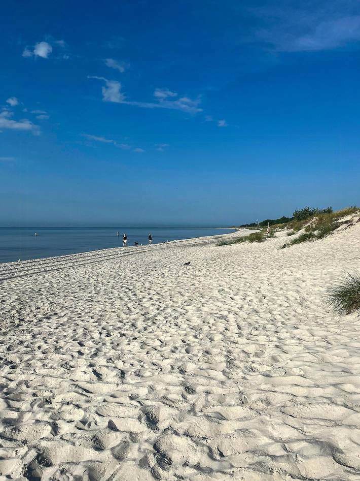 Einfamilienhaus in Falsterbo in Strand- und Golfnähe in Falsterbo, Vellinge und Umgebung