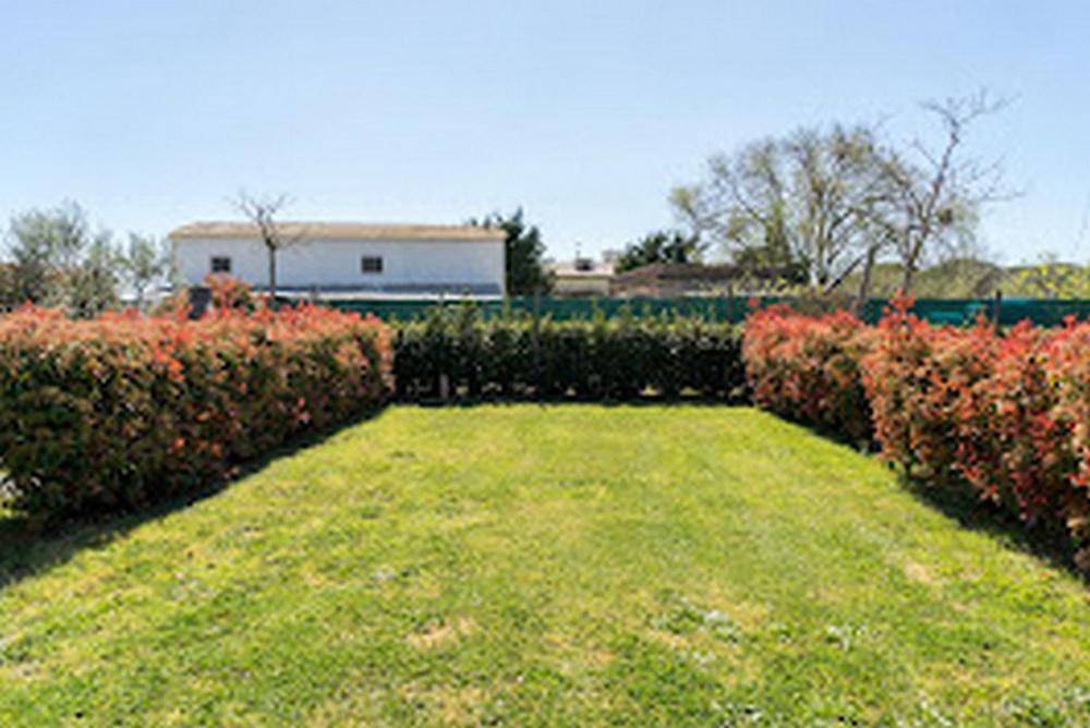 Agricoccinella - Area Sosta Camper - Solo Piazzole per il proprio Camper in Piombino, Costa degli Etruschi