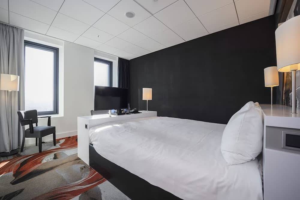 Historic Leiden Room with Indoor Swimming Pool Near Cultural Sites in Leiden, North Sea Netherlands