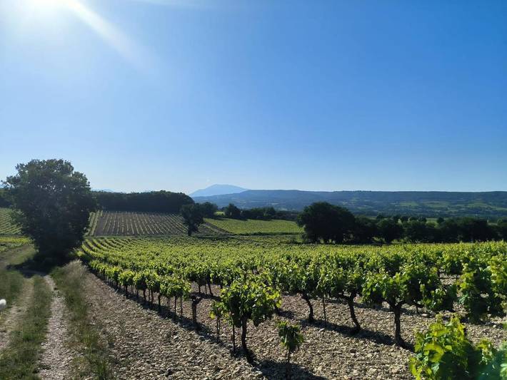 Gîte pour 6 personnes, avec vue ainsi que jardin et piscine, animaux acceptés à Tulette - 4
