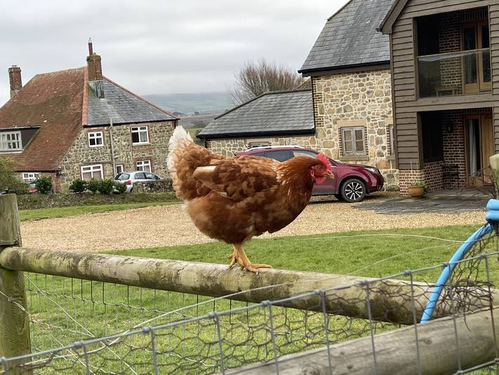 Holiday home for 2 people, with garden on the Isle of Wight
