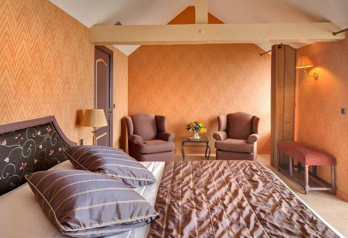 Hôtel pour 2 personnes, avec sauna et jacuzzi ainsi que jardin et piscine, animaux acceptés à Billiers - 2