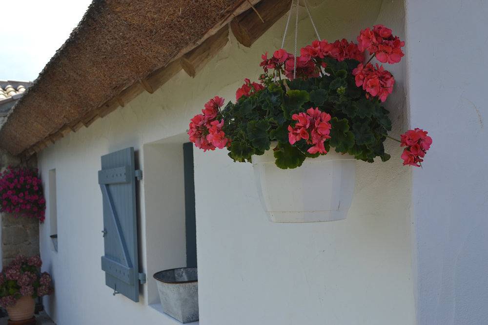 Les Pensions du Joslin - La Bourrine in Bouin, Vendée