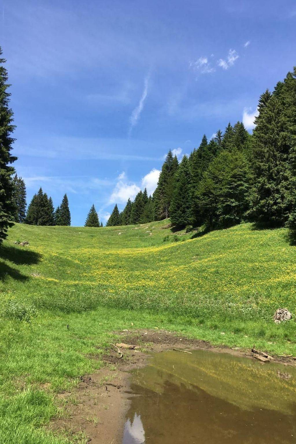 Ganze Wohnung, Mit Sauna in Pieve Di Bono in Pieve di Bono-Prezzo, Gardasee-Berge