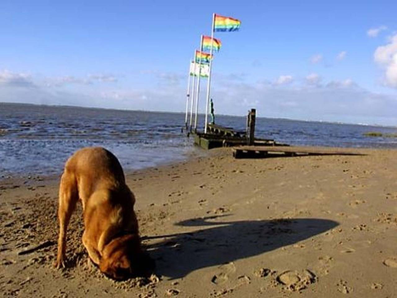 Ganze Ferienwohnung, Ferienwohnung Sonnenkoje, Fewo Vermittlung Nordsee in Varel, Südliche Nordseeküste