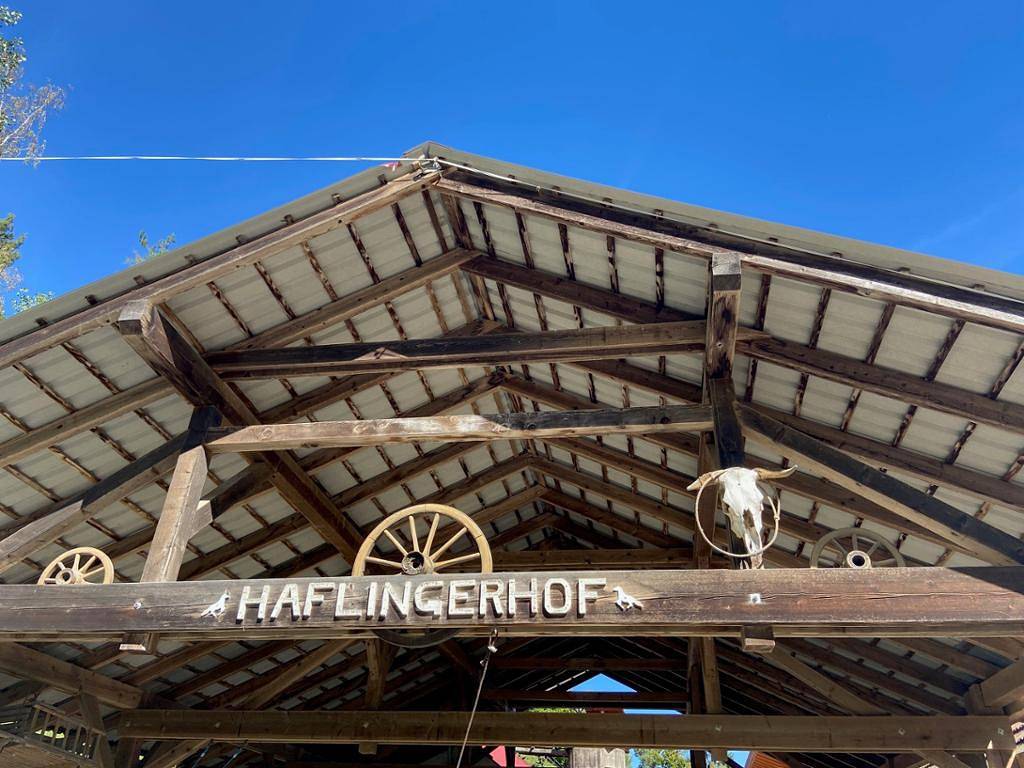 Ganze Wohnung, Haflingerhof Luef - Familienzimmer mit Küchenzeile in Bad Schönau, Wiener Alpen