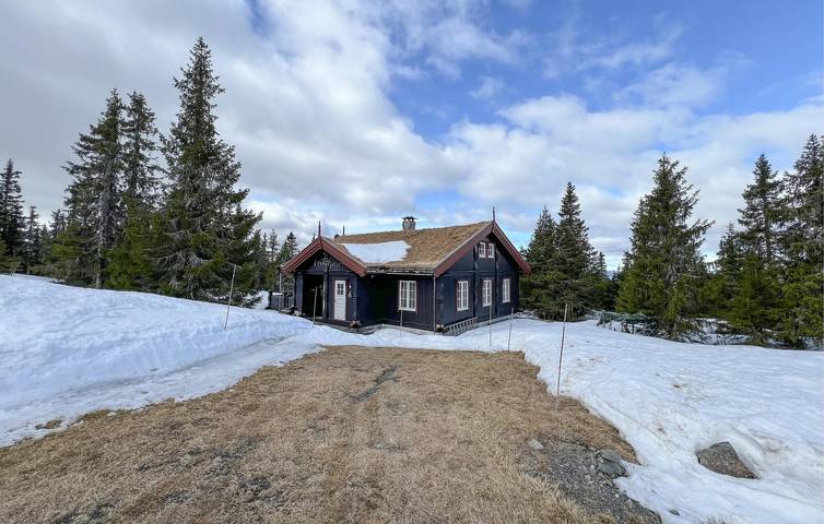 Location de vacances pour 8 personnes, avec terrasse et jardin dans Lillehammer - 2