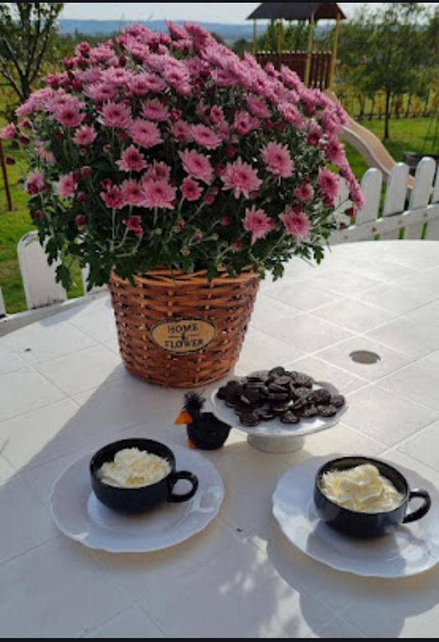 Ferienhaus für 8 Personen, mit Garten und Pool sowie Ausblick in Siofok - 2