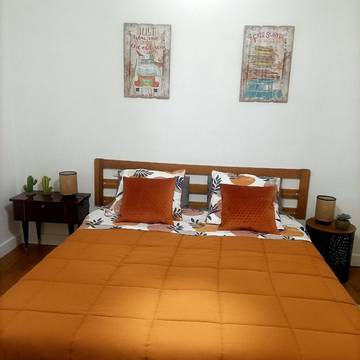 Gîte pour 5 personnes, avec jardin à Descartes
