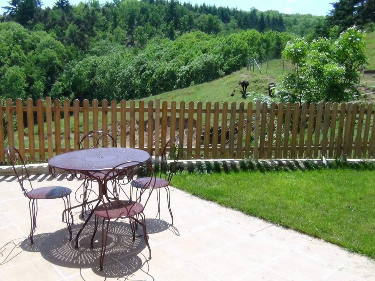 Cozy cottage with spa and sauna, pets allowed, foto 13