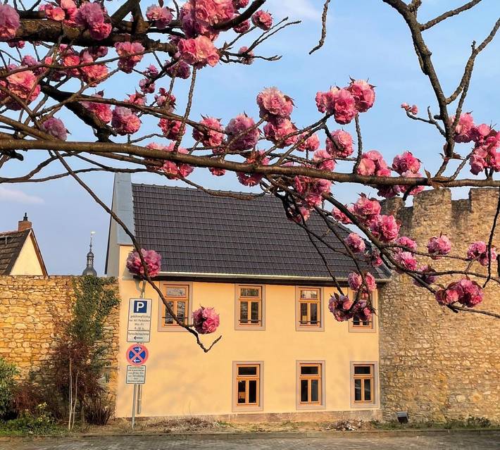 Ferienwohnung für 3 Personen, mit Terrasse in Eltville am Rhein