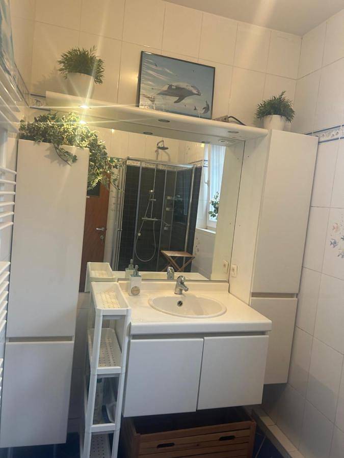 Chambre d’hôte pour 2 personnes, avec sauna ainsi que jacuzzi et jardin à Bruxelles - 2