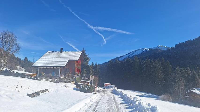 Location de vacances pour 5 personnes, avec jardin et terrasse ainsi que vue et piscine, animaux acceptés à Dornbirn - 2
