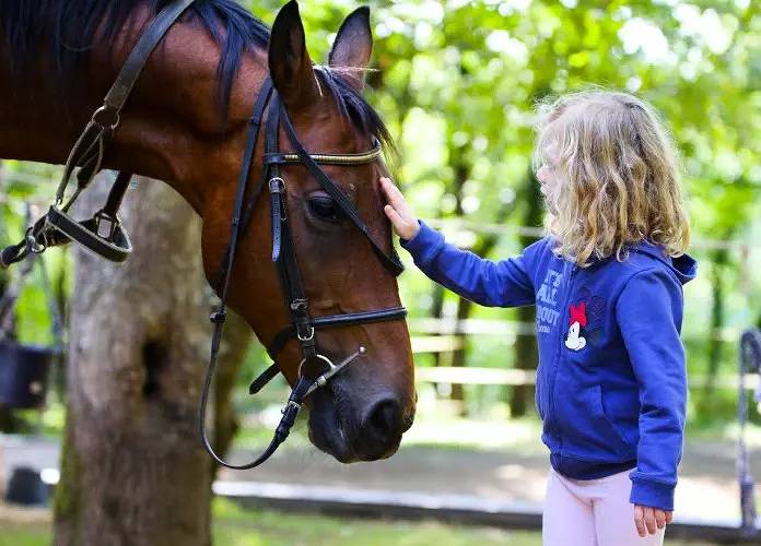 Appartement entier, 2 Pièces 5 Personnes 1 bébé in Neuvic, Région d'Ussel