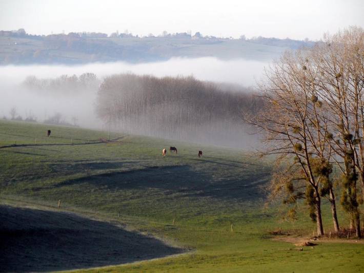 Maison d’hôte pour 5 personnes, avec vue et jardin à Sprimont - 4