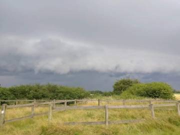 Ferieudlejning til 8 Personer i Marielyst, Lolland-Falster, Billede 2