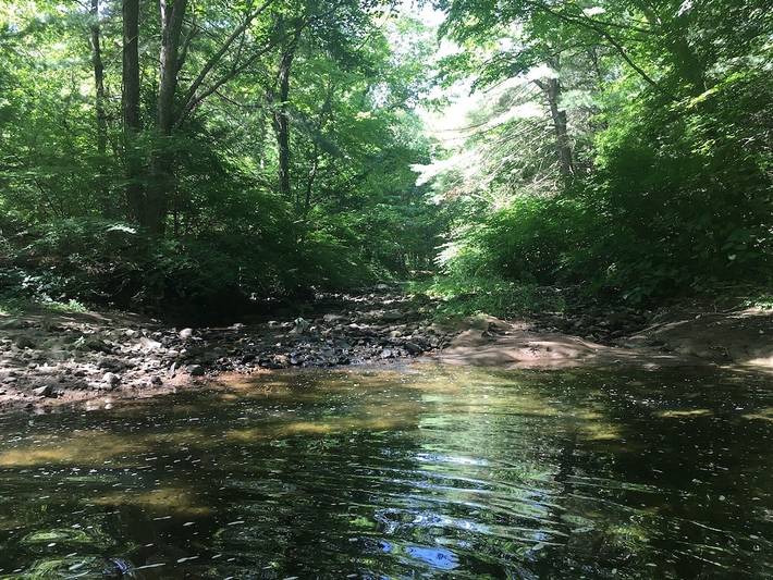 Cottage for 6 people, with yard and terrace, with pets in Connecticut