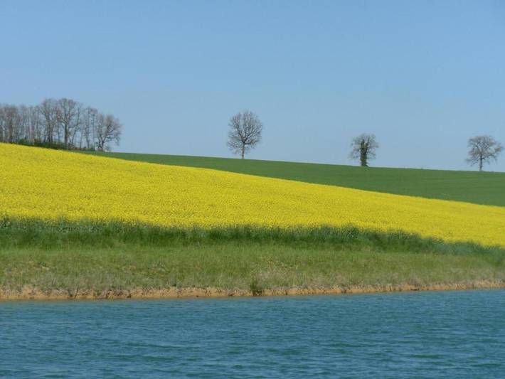 Location de vacances pour 8 personnes, avec Terrasse et Jardin à Preignan