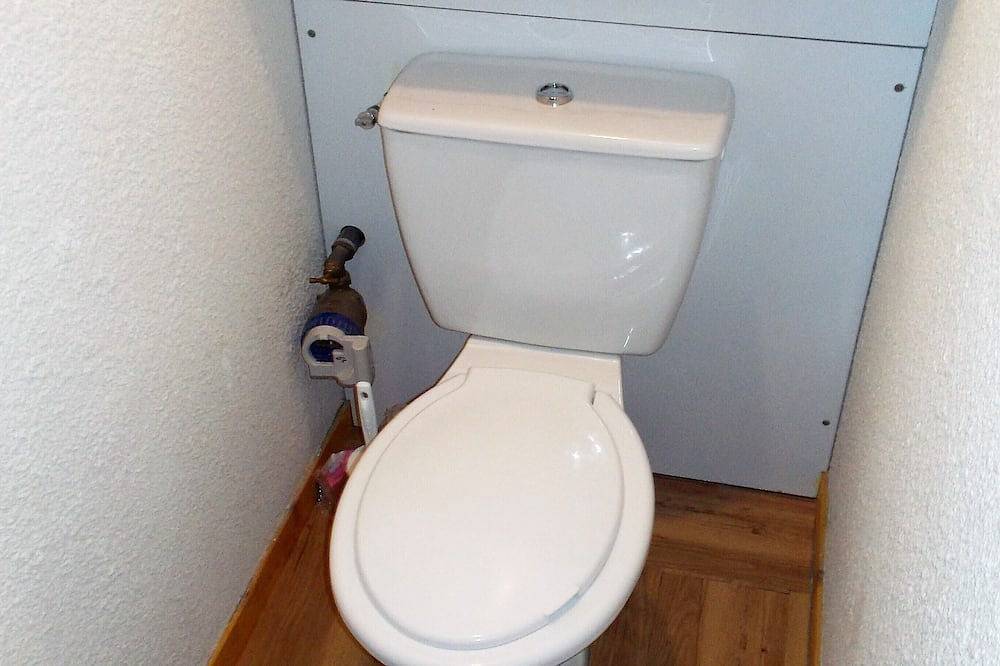 Ganze Wohnung, 2-Zimmer-Wohnung am Fuß der Pisten Peisey Vallandry - Paradiski in Landry, Nationalpark Vanoise