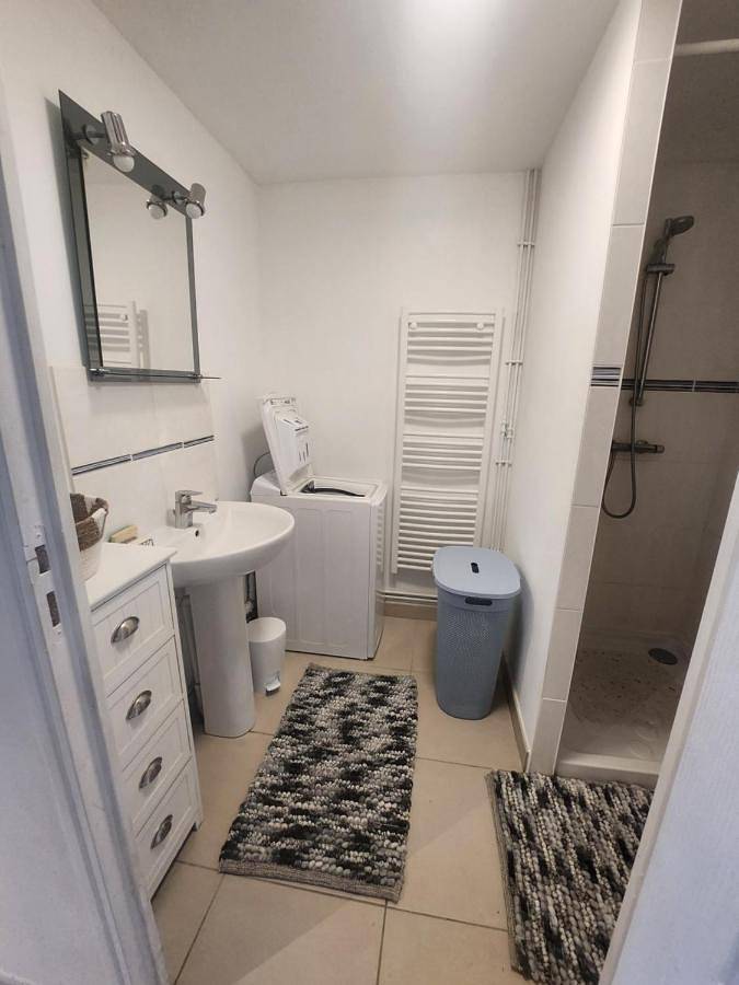 Location de vacances pour 6 personnes, avec terrasse et jardin à Restigné - 4