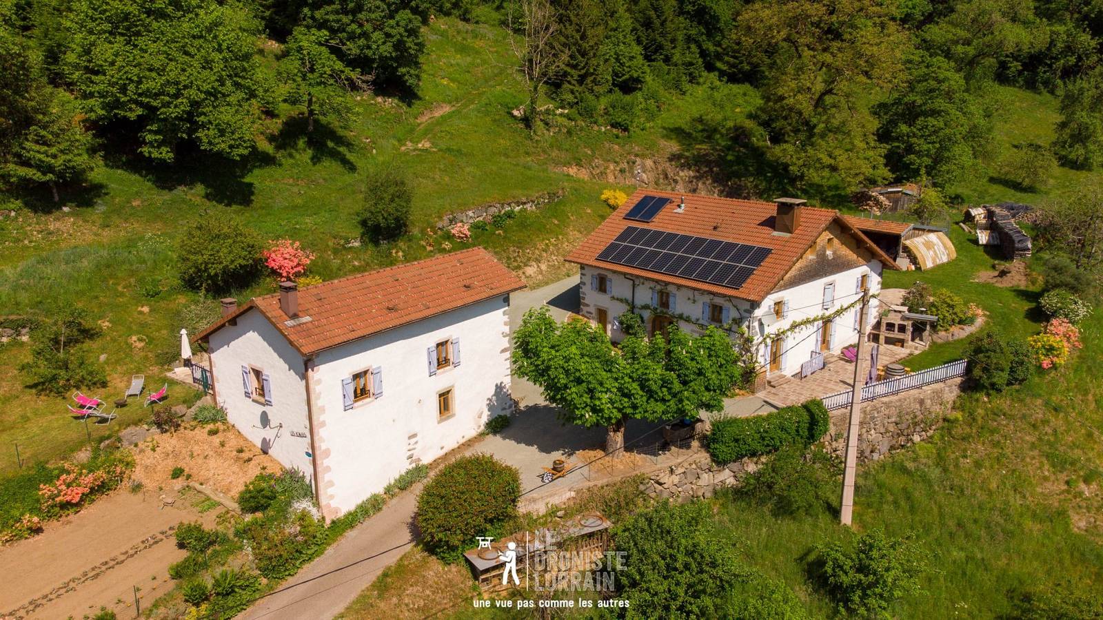 Gîte "Les Azalées" avec vue sur les montagnes in Rupt-sur-Moselle, Région d'Épinal