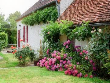 Gîte pour 5 personnes, avec jardin dans Franchesse