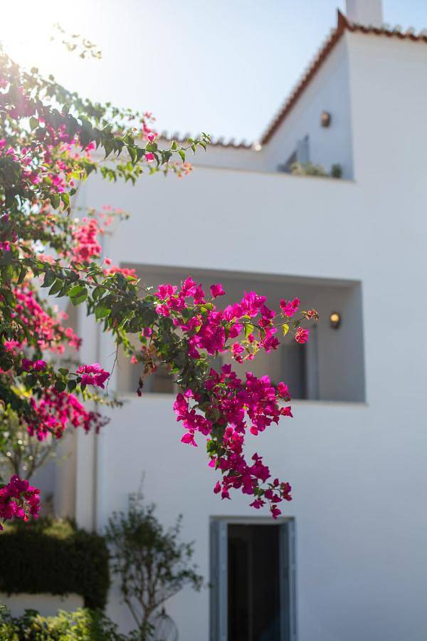 Location de vacances pour 10 personnes, avec Balcon et Terrasse ainsi que Jardin et Piscine dans Spetses - 2