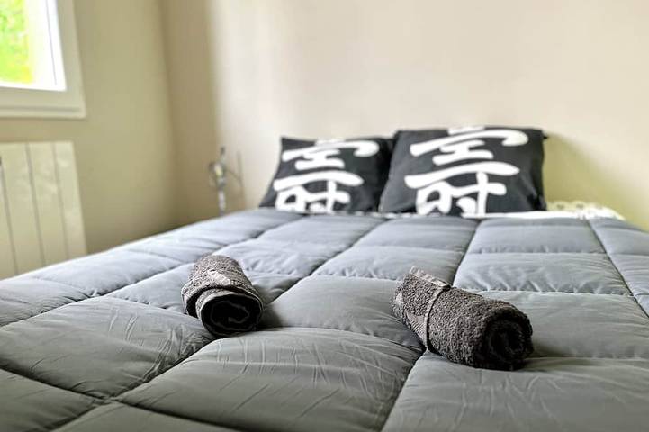 Location de vacances pour 16 personnes, avec jardin à Sainte-Eulalie-en-Born - 3