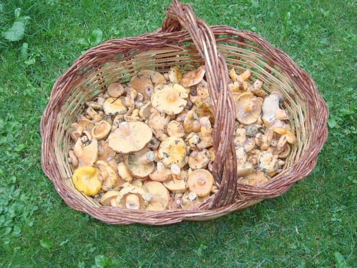 Gîte pour 6 personnes à Castejón de Sos - 2