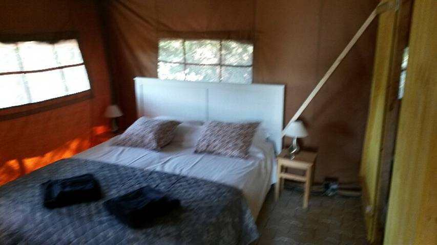 Glampings pour 5 personnes, avec Jacuzzi et Piscine dans le Vaucluse - 3