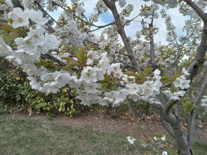 Location de vacances pour 2 personnes, avec jardin à Faucon