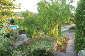 Agriturismo per 2 Persone in Crespina Lorenzana, Colline Pisane, Foto 4